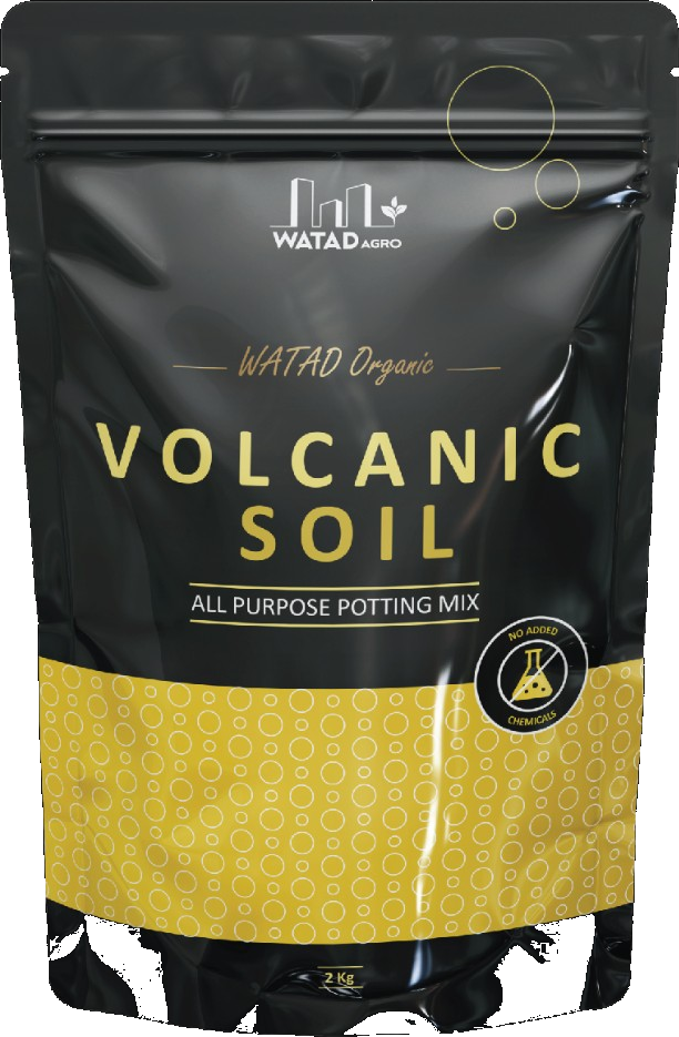 Volcanic Soil – 2 kg Pack